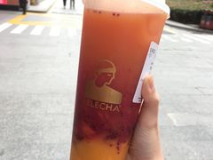 多肉红芒果果-LELECHA乐乐茶(美罗城店)