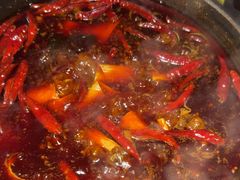 -蜀大侠火锅(总府路店)