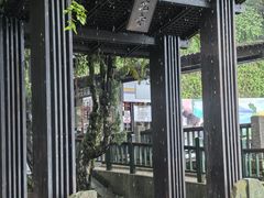 -金盆阿嬷香菇茶叶蛋(玄光店)