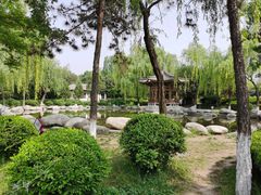 -西安青龙寺遗址景区