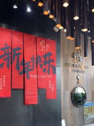-韩国李知恩形象设计