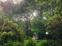 -上海交通大学医学院附属瑞金医院(总院)
