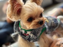 -小龍鳳餐室(番禺路店)