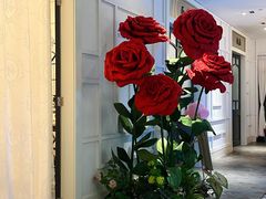 -22ºN BISTRO西餐&酒馆