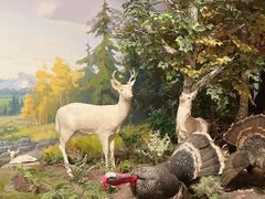 -陕西自然博物馆