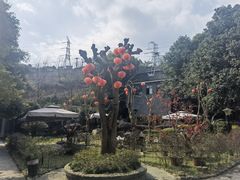 -竹海听涛生态山庄