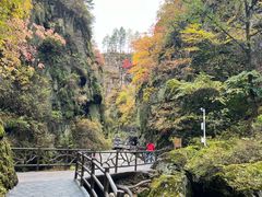 -茅兰沟国家森林公园