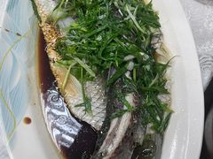 清蒸泉水鲩鱼-成惠食府(赤岗店)