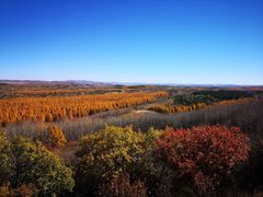 -塞罕坝国家级自然保护区