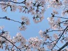 -龙美术馆(西岸馆)