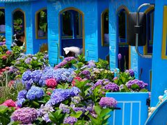 -上海滨江森林公园