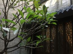 -归觅·西关小姐人文艺术馆(荔枝湾店)
