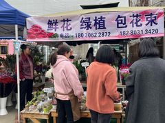 -三圣花乡旅游区