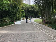 -苏州河梦清园环保主题公园