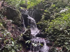 -莫里热带雨林景区
