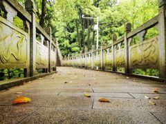 -道教老君洞