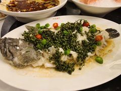 藤椒-海湾壹品·粤菜·早茶·烤鸭(拱北店)