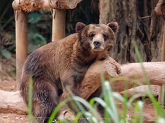 -广州长隆野生动物世界