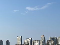 -新梅华餐厅(星悦汇店)
