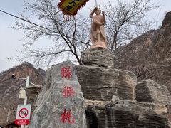 -大岭沟猕猴桃谷风景区