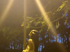 -东莞植物园