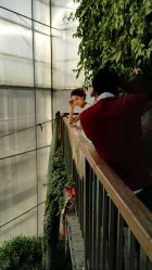 点击看大图 -完美新娘婚纱摄影