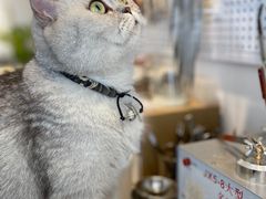 -Oasis绿洲银饰珍珠手作diy(壹方城店)