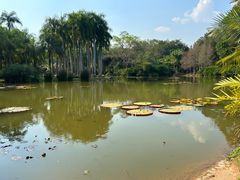 -中国科学院西双版纳热带植物园