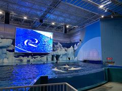 -福州罗源湾海洋世界旅游区