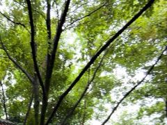-重庆彩云湖湿地公园
