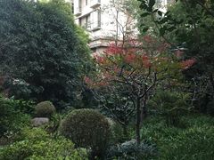 -新湖明珠城