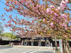 -惠山古镇·寄畅园