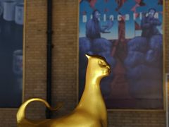 -西安电影制片厂