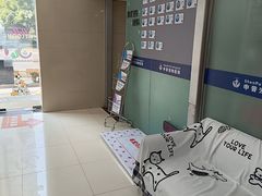 -申普宠物医院·心脏介入·心血管微创(总院)