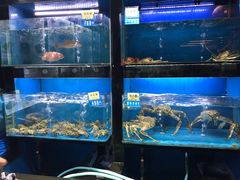 水产区-姚江春中餐厅·太平洋大酒店