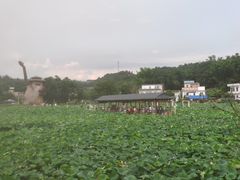 -红山村