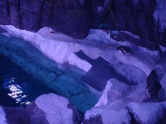 -暹罗海洋世界