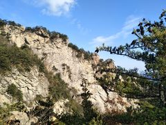 -王顺山国家森林公园