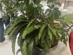 -枕水江南(铁西万象汇店)