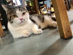 -IFIF 如果花園(宽厚里店)