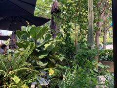 -农畉LONFOOD(福田星河COCOPark店)