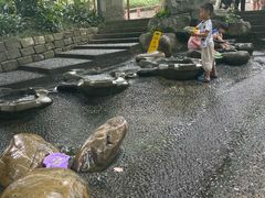 -成都市活水公园