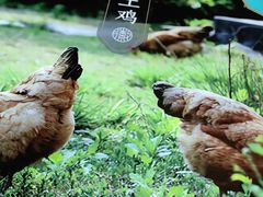 -刀板香·安徽菜(国购IFC店)