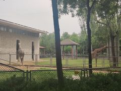 -石家庄市动物园