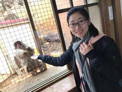 -岚山猴子公园