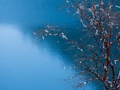 -九寨沟-树正沟