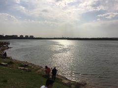 -丁香湖公园