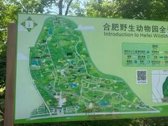 -合肥野生动物园