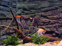 -上海海洋水族馆