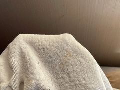 -裕和堂中医推拿艾灸(太古汇臻品店)
